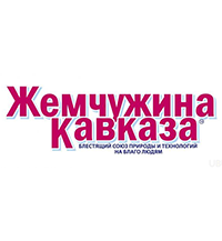 logo img